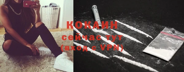 кокс Кинешма