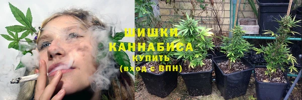 кокс Кинешма