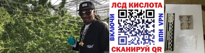 Купить закладки  Карачев  Марки N-bome 1,8мг 